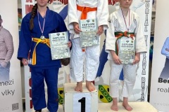 552de027-6b97-4a74-8ecb-89df4e66f339