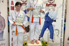 98376a99-9f2d-40ce-b5f6-0f0de08e6b2c